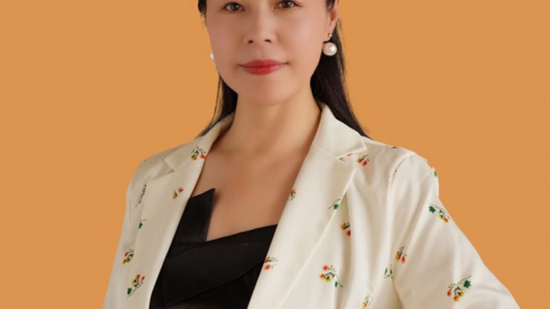 mg动画素材免费下载零基础教程